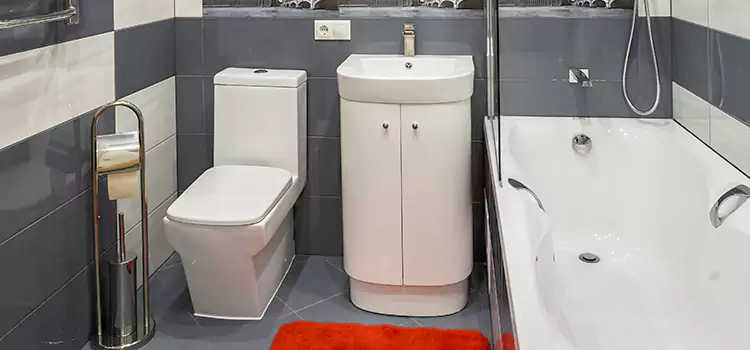 Hansgrohe Shaving Mirror Inver Grove Heights